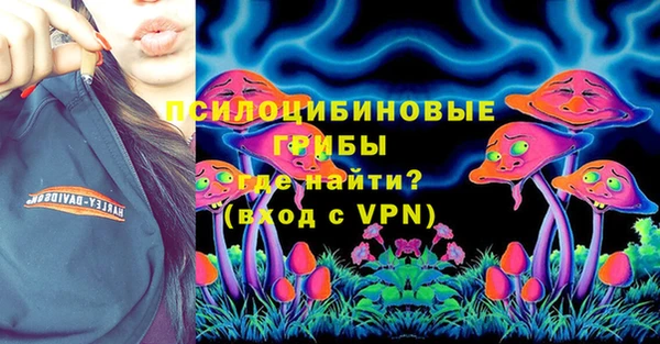 тгк Горняк