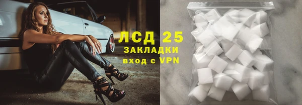 хмурый Осинники