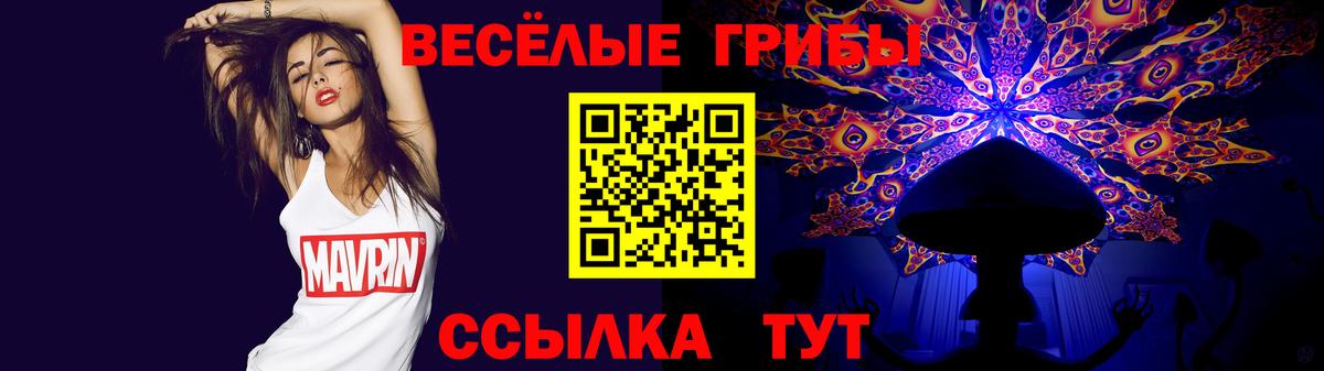 Железногорск  Псилоцибиновые грибы ЛСД  Вход с VPN 